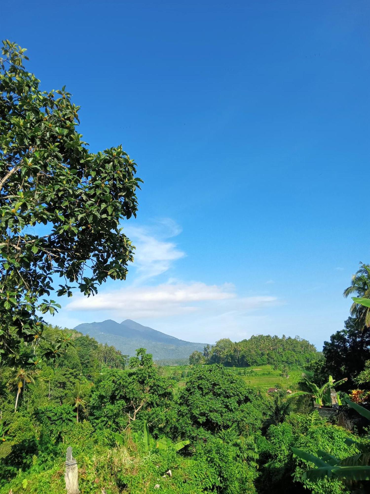 Alamku Bungalow Karangasem Amlapura Exterior foto