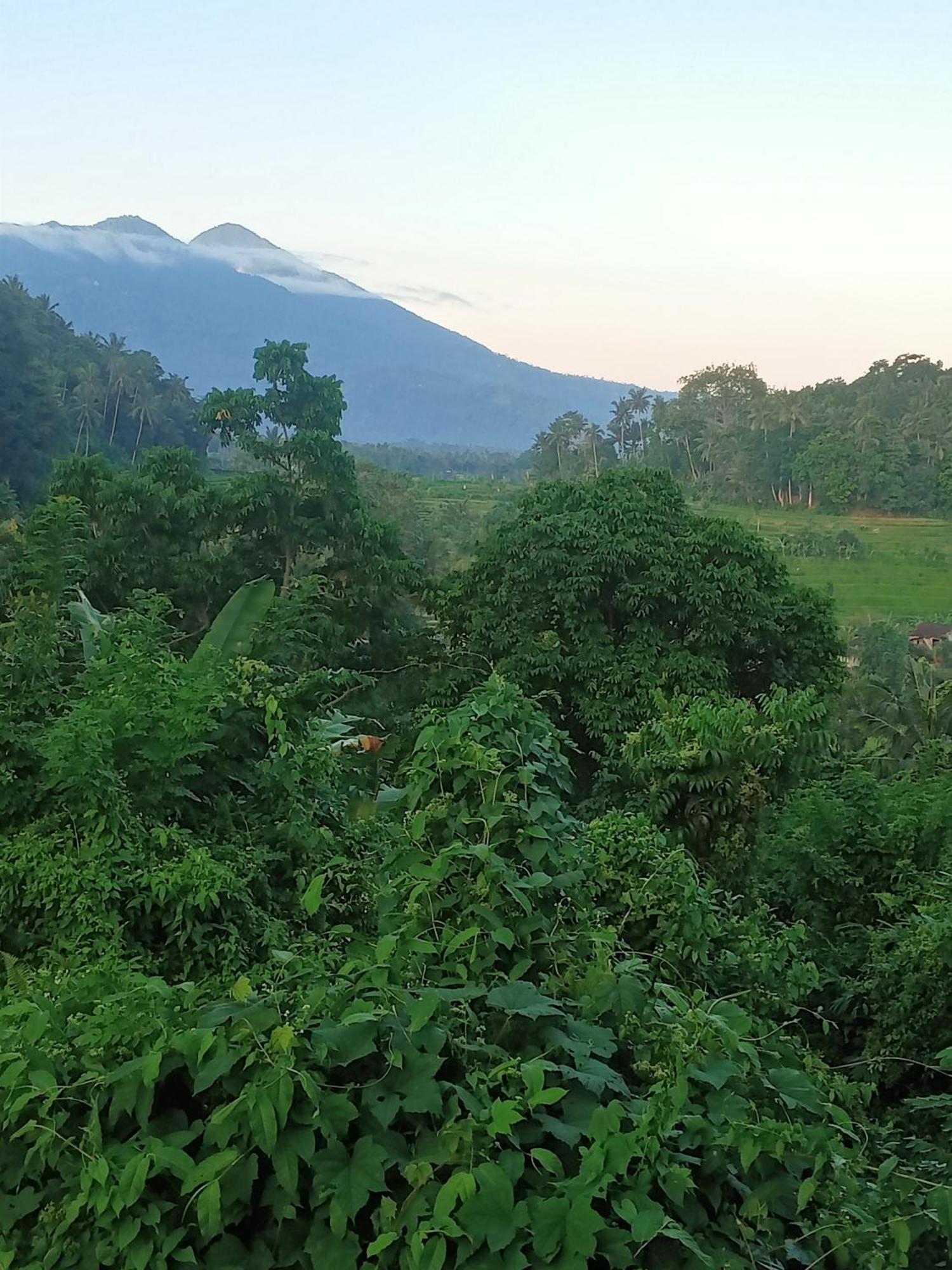 Alamku Bungalow Karangasem Amlapura Exterior foto