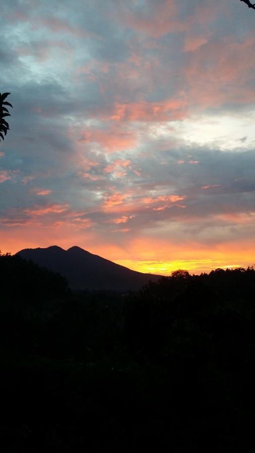 Alamku Bungalow Karangasem Amlapura Exterior foto